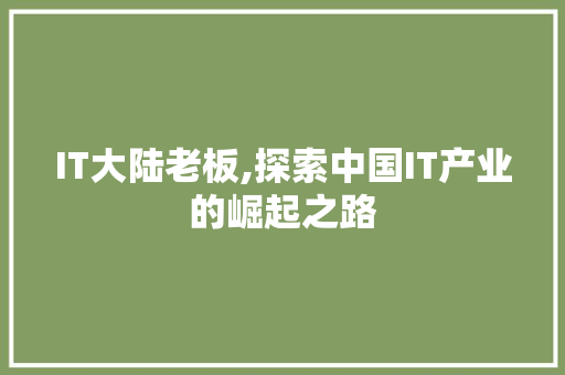IT大陆老板,探索中国IT产业的崛起之路