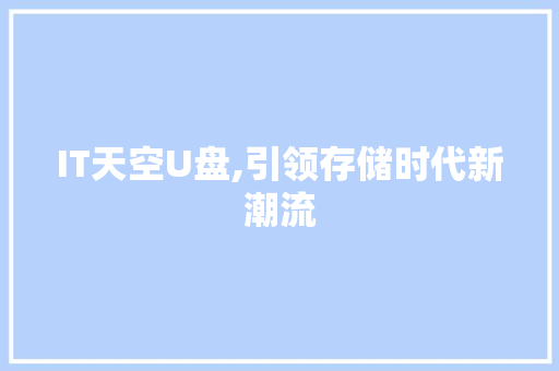 IT天空U盘,引领存储时代新潮流