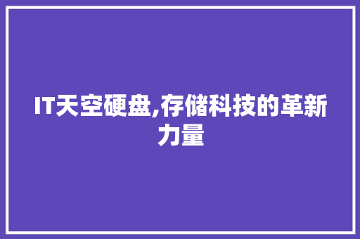 IT天空硬盘,存储科技的革新力量