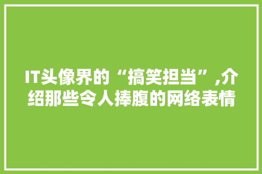 IT头像界的“搞笑担当”,介绍那些令人捧腹的网络表情