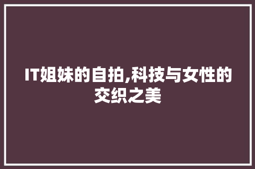 IT姐妹的自拍,科技与女性的交织之美