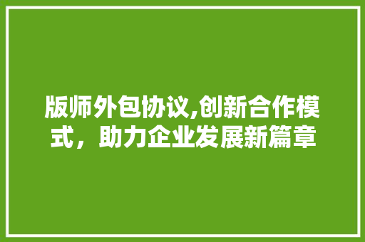 版师外包协议,创新合作模式，助力企业发展新篇章