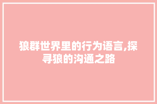 狼群世界里的行为语言,探寻狼的沟通之路