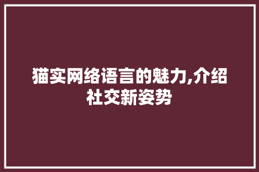 猫实网络语言的魅力,介绍社交新姿势