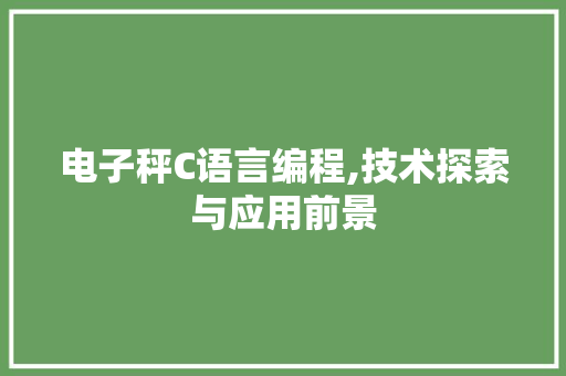 电子秤C语言编程,技术探索与应用前景