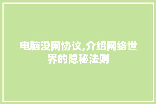 电脑没网协议,介绍网络世界的隐秘法则