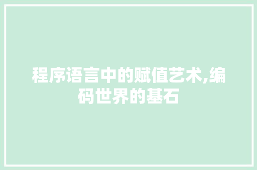 程序语言中的赋值艺术,编码世界的基石
