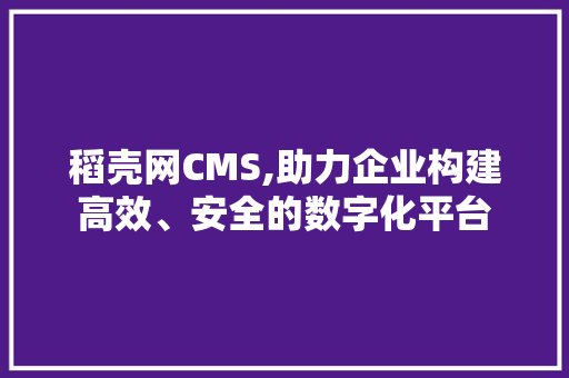 稻壳网CMS,助力企业构建高效、安全的数字化平台