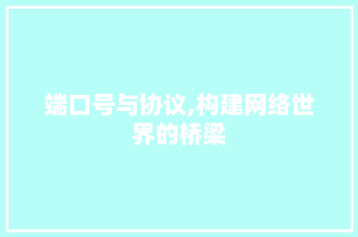 端口号与协议,构建网络世界的桥梁