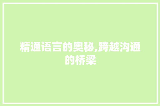 精通语言的奥秘,跨越沟通的桥梁
