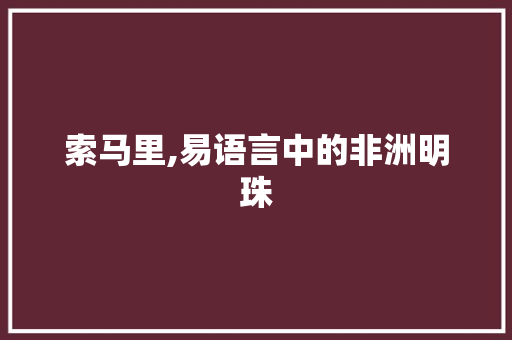 索马里,易语言中的非洲明珠