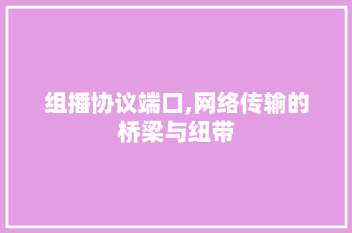 组播协议端口,网络传输的桥梁与纽带