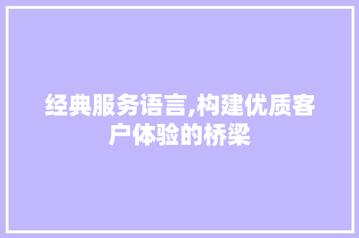 经典服务语言,构建优质客户体验的桥梁