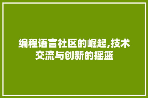编程语言社区的崛起,技术交流与创新的摇篮