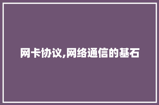 网卡协议,网络通信的基石