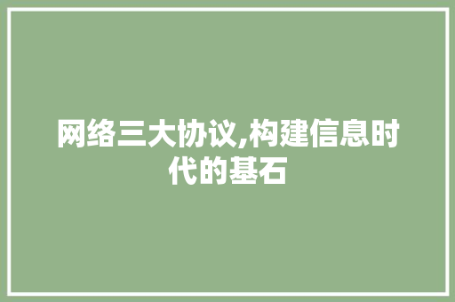 网络三大协议,构建信息时代的基石