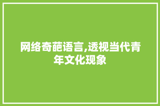 网络奇葩语言,透视当代青年文化现象