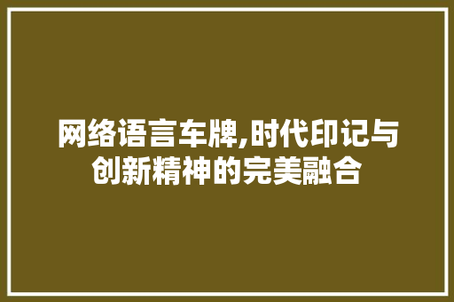 网络语言车牌,时代印记与创新精神的完美融合