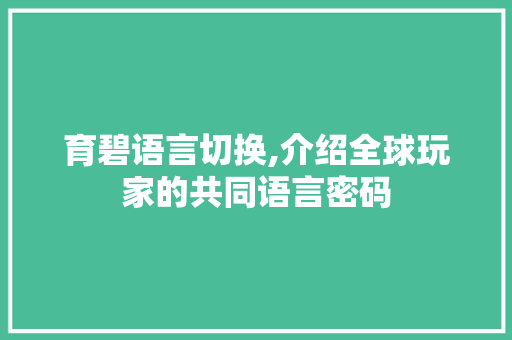 育碧语言切换,介绍全球玩家的共同语言密码