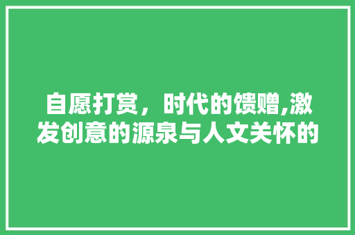自愿打赏，时代的馈赠,激发创意的源泉与人文关怀的传递