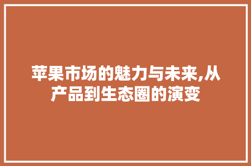 苹果市场的魅力与未来,从产品到生态圈的演变
