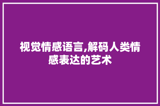 视觉情感语言,解码人类情感表达的艺术