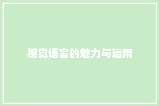 视觉语言的魅力与运用