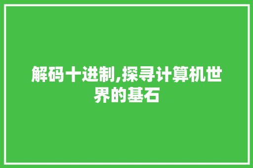 解码十进制,探寻计算机世界的基石