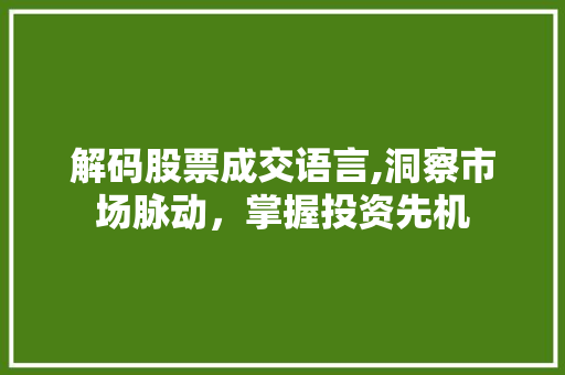 解码股票成交语言,洞察市场脉动，掌握投资先机