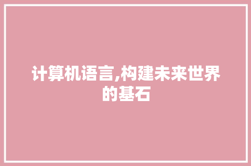 计算机语言,构建未来世界的基石