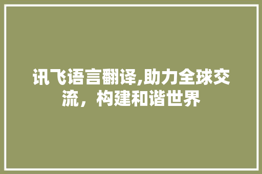讯飞语言翻译,助力全球交流，构建和谐世界
