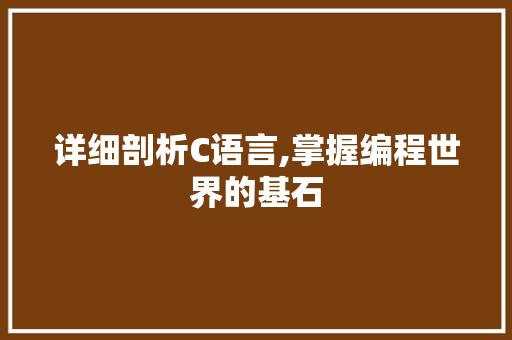 详细剖析C语言,掌握编程世界的基石