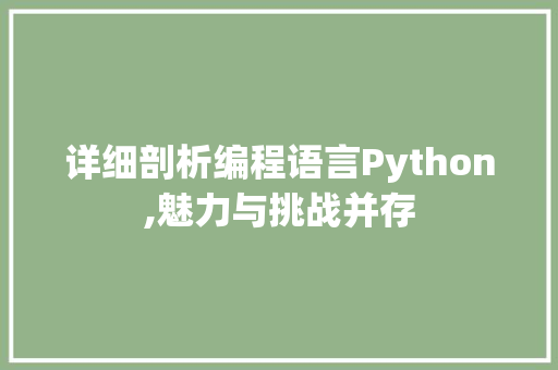 详细剖析编程语言Python,魅力与挑战并存