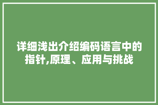详细浅出介绍编码语言中的指针,原理、应用与挑战