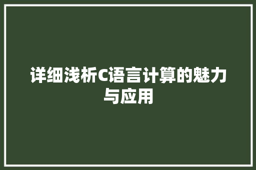 详细浅析C语言计算的魅力与应用