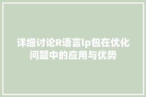 详细讨论R语言lp包在优化问题中的应用与优势