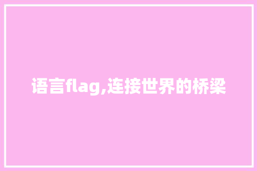 语言flag,连接世界的桥梁