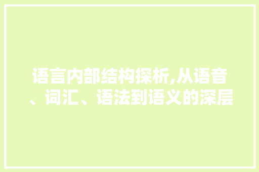 语言内部结构探析,从语音、词汇、语法到语义的深层介绍