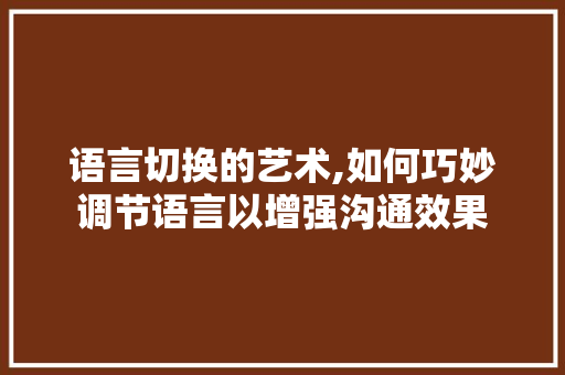 语言切换的艺术,如何巧妙调节语言以增强沟通效果