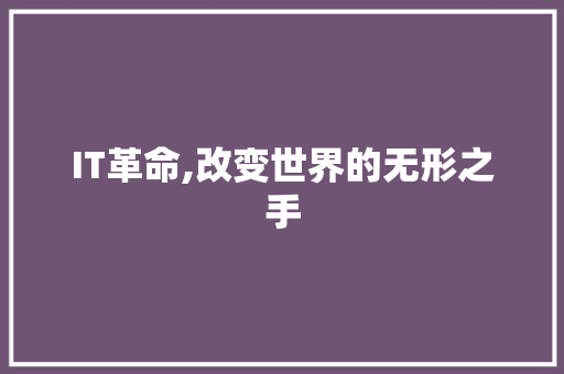 IT革命,改变世界的无形之手