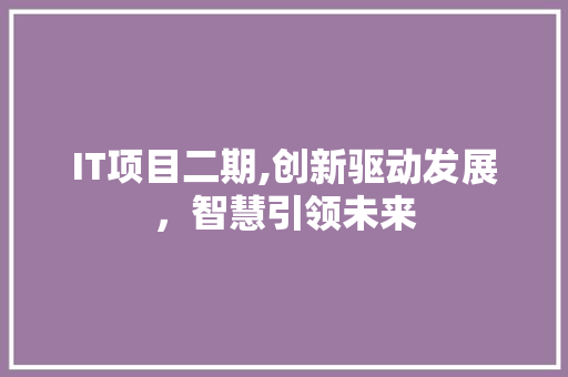 IT项目二期,创新驱动发展，智慧引领未来