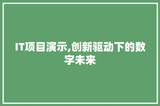 IT项目演示,创新驱动下的数字未来
