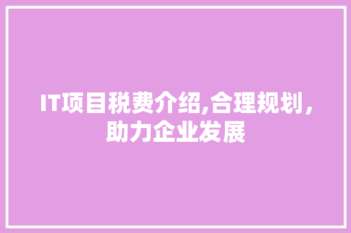 IT项目税费介绍,合理规划，助力企业发展