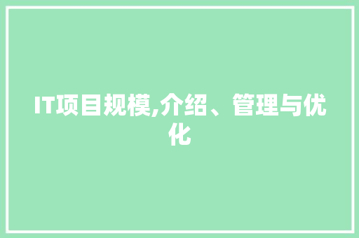 IT项目规模,介绍、管理与优化