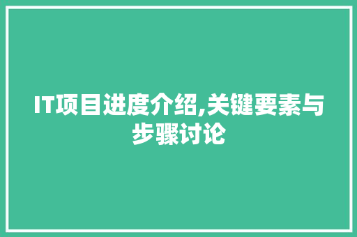 IT项目进度介绍,关键要素与步骤讨论
