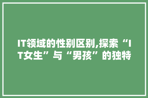 IT领域的性别区别,探索“IT女生”与“男孩”的独特魅力