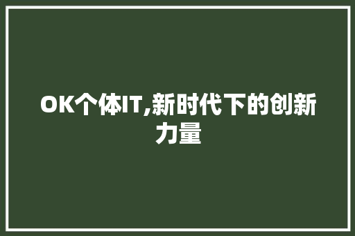 OK个体IT,新时代下的创新力量