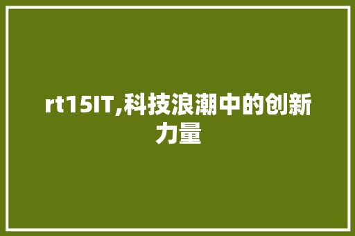 rt15IT,科技浪潮中的创新力量