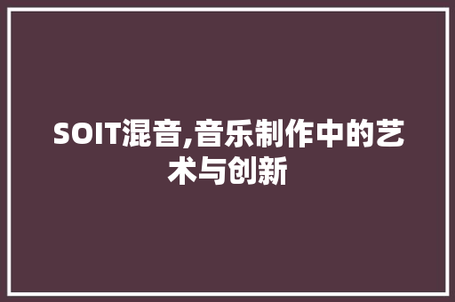 SOIT混音,音乐制作中的艺术与创新