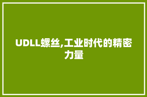 UDLL螺丝,工业时代的精密力量